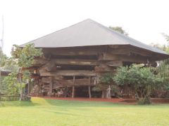 43-Im-Baummuseum-Aripuca